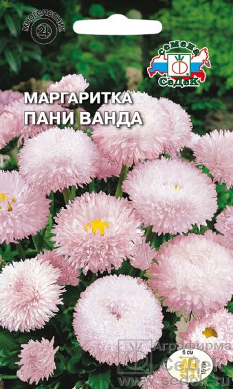 Маргаритка Седек Пани Ванда 005г 47₽