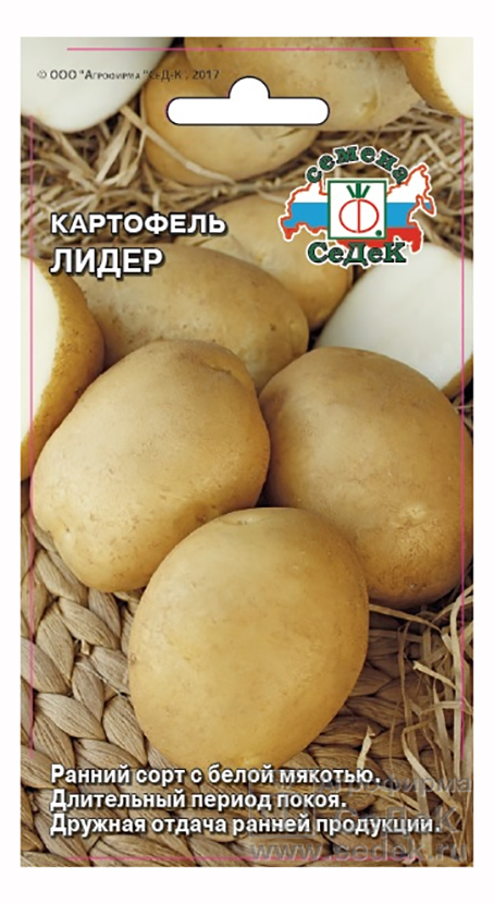 Картофель 