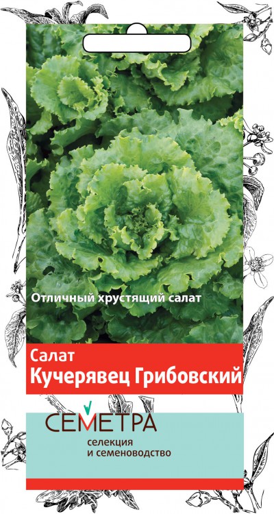 Салат 