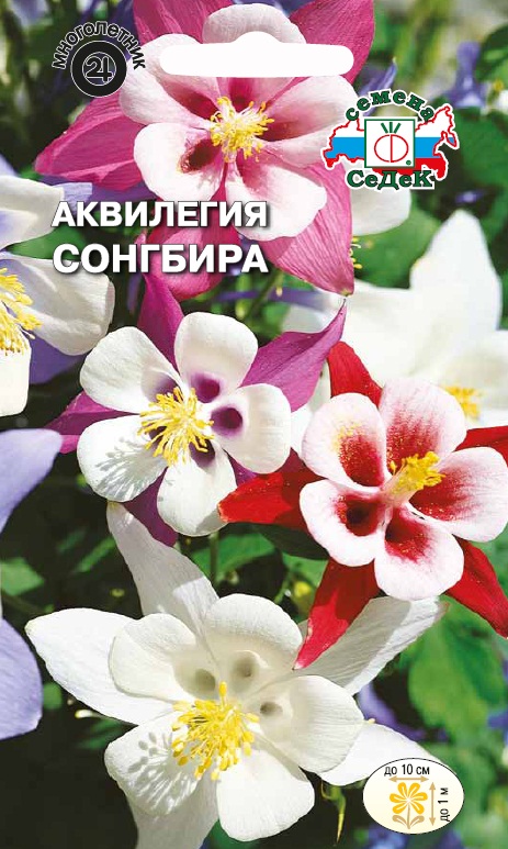 Аквилегия Седек Сонгбира 01г 30₽