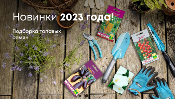 Новинки 2023