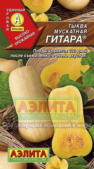 Тыква мускатная 