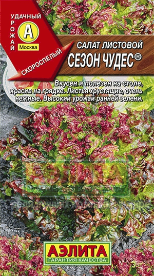 Семена Салат листовой Аэлита Сезон чудес 0,5г семена салат листовой аэлита сезон чудес 0 5г