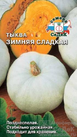 Тыква 