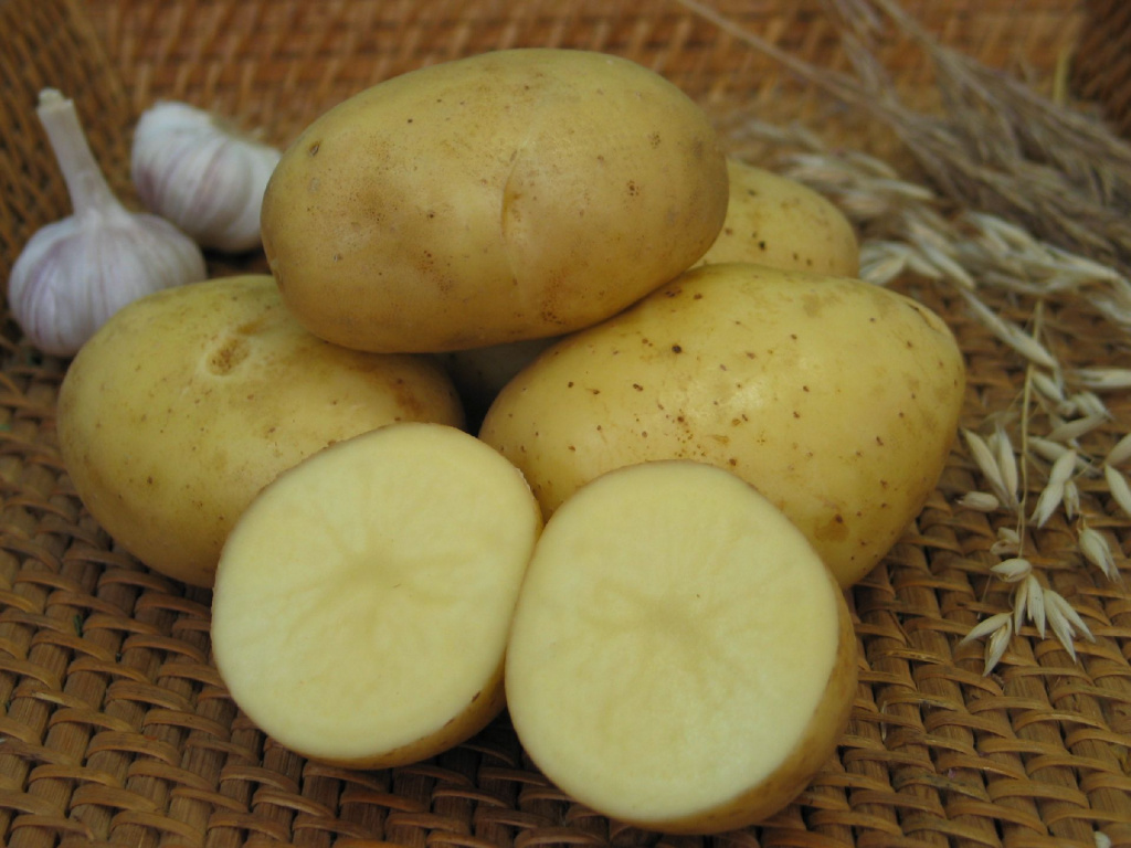 Картофель семенной Седек Триумф 2кг картофель синеглазка 2кг