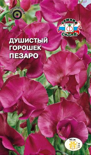 Душистый горошек Седек Пезаро 05г 37₽