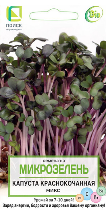Семена Микрозелень Поиск Капуста краснокочанная микс 5г семена микрозелень поиск салат микс 5г