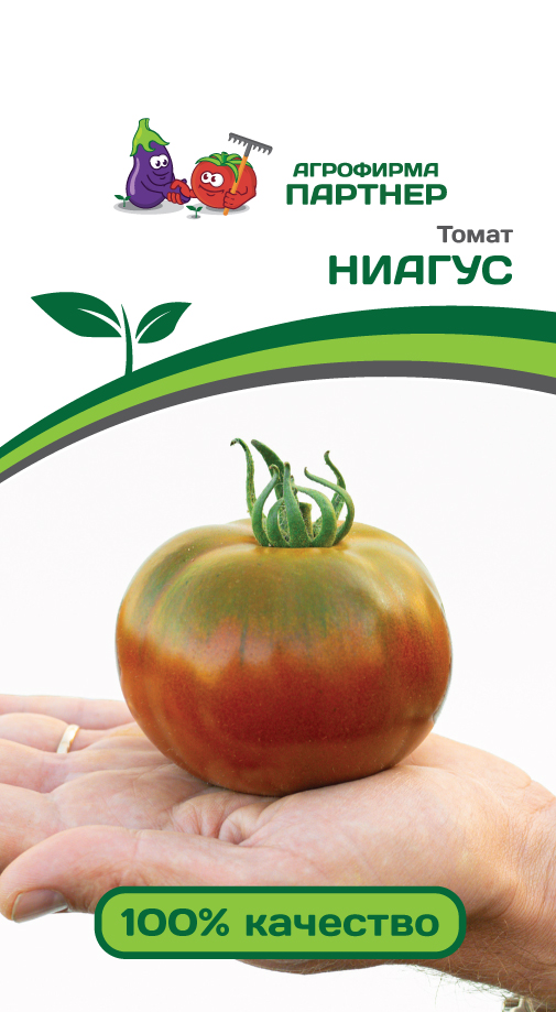Семена Томат Партнер Ниагус 10шт семена партнер томат лапочка