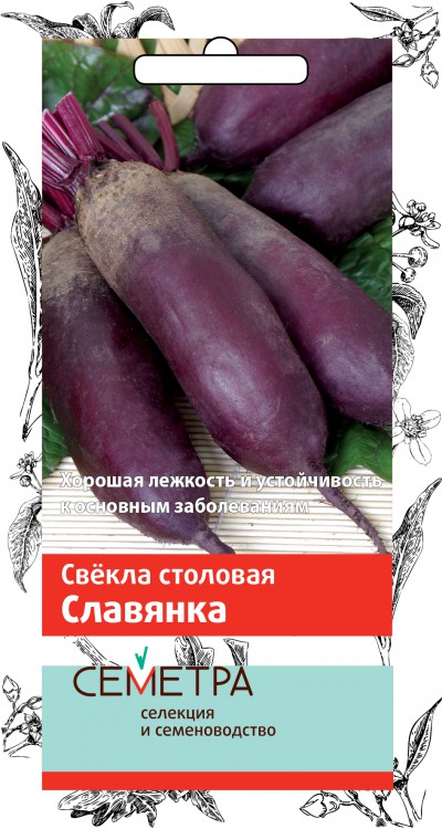 Свёкла 