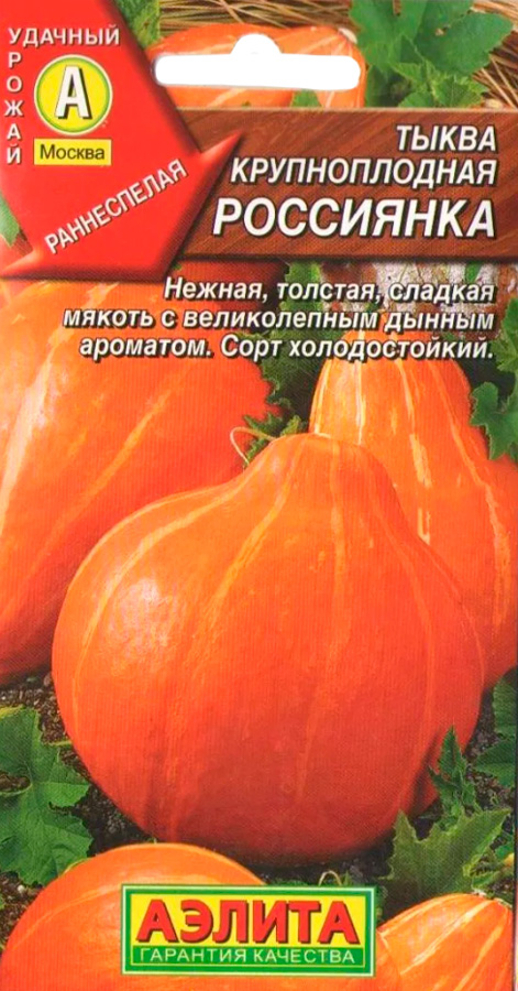 Тыква Аэлита Россиянка 1г семена тыква дума среднеспелая округлая оранжевая до 25 кг 5 шт