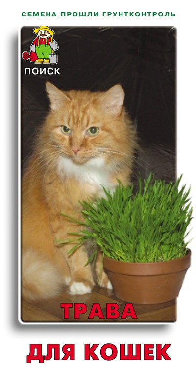 цена Семена Трава для кошек Поиск 10г
