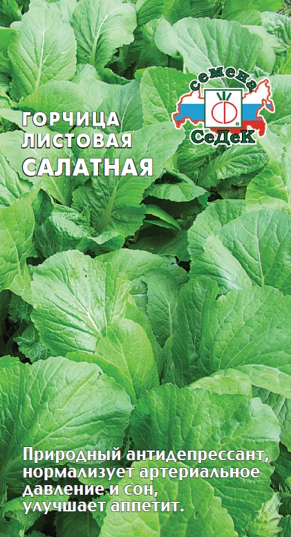 Семена Горчица Седек Салатная 1г семена горчица салатная серия русский размер 100 шт