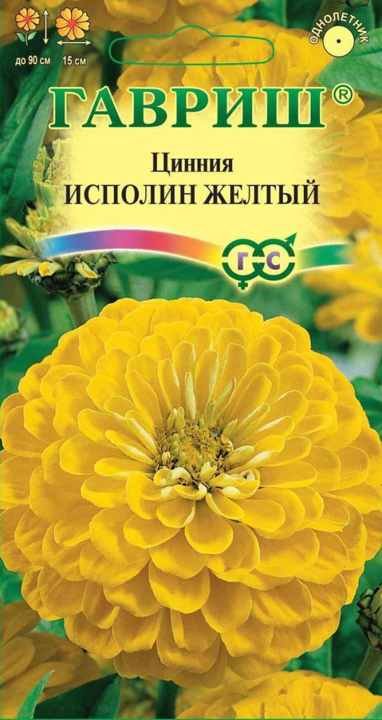 Цинния 