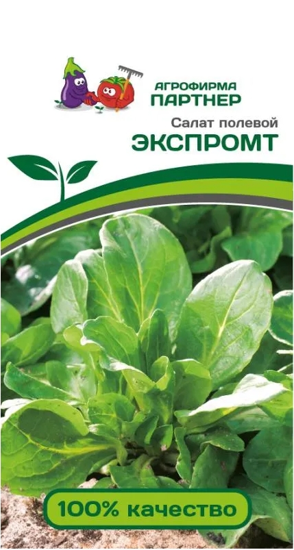 Семена Салат полевой Партнер Экспромт 1г семена салат листовой партнер туска 15шт
