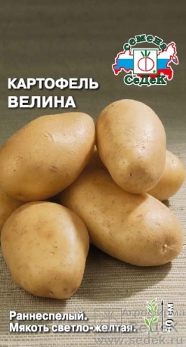 Семена Картофель Седек Велина 0,02г семена картофель седек лада f1 0 02г