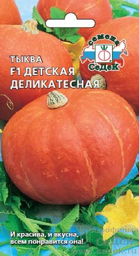 Семена Тыква Седек Детская деликатесная F1 1г семена томат седек ажур f1 0 1г