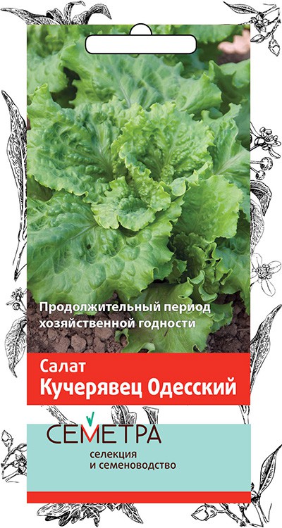 Семена Салат Поиск Кучерявец Одесский 1г семена салат седек кучерявец одесский 0 5г