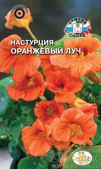 Семена Настурция Седек Оранжевый луч 1г семена настурция седек фаина 0 5г