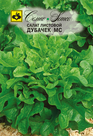 Семена Салат листовой Семко Дубачек МС 1г салат дубачек мс листовой 0 3г ранн агрос сибирский огород 10 ед товара