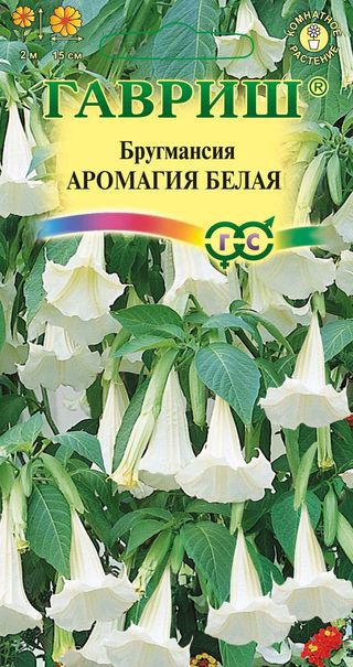Семена Бругмансия Гавриш Аромагия белая 3шт семена баухиния гавриш орхидейное дерево 3шт
