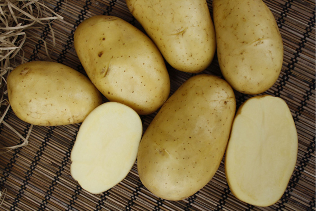 Картофель семенной Седек Колетте 2кг картофель скарб 2кг