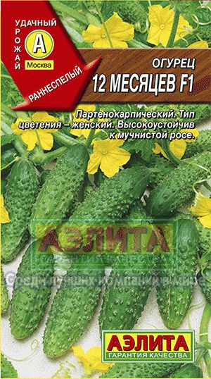 Семена Огурец Аэлита 12 месяцев F1 10шт семена огурец аэлита русская закуска f1 10шт
