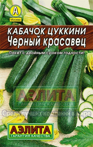 Кабачок цуккини 