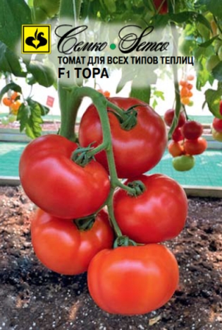Томат Семко Тора F1 5шт томат буги вуги f1 0 1г индет ранн семко 10 ед товара