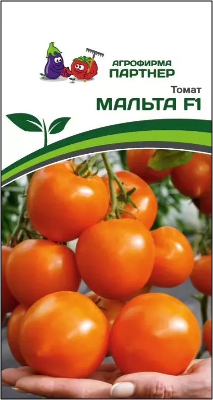 Купить семена томатов различных сортов с доставкой по РФ