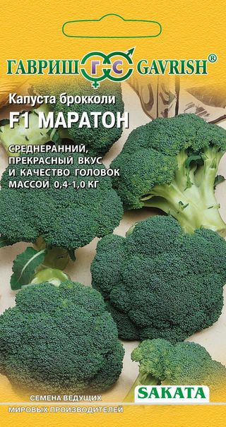 Капуста брокколи 