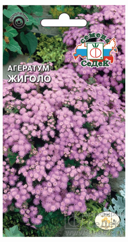 Агератум Седек Жиголо 01г 33₽