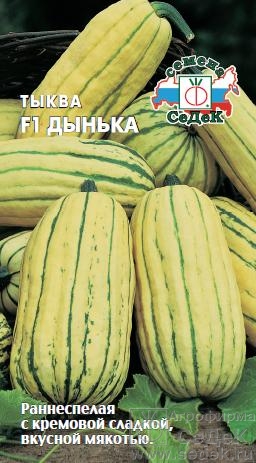 Семена Тыква Седек Дынька F1 1г семена томат лучший седек f1 0 1г