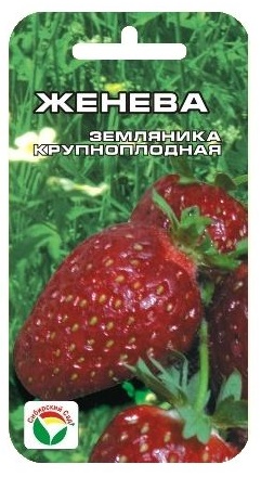 Семена Земляника Сибирский сад Женева 10шт семена томата бугай красный сибирский сад