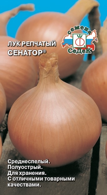 Семена Лук репчатый Седек Сенатор 0,5г семена лук репчатый седек салатный на перо 1г