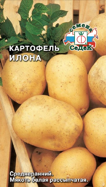 Семена Картофель Седек Илона 0,02г семена картофель седек баллада 0 02г