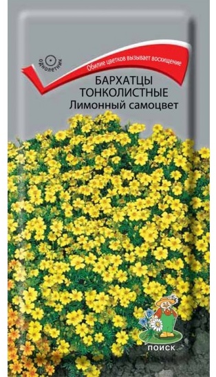 Семена Бархатцы тонколистные Поиск Лимонный самоцвет 0,1г фотографии