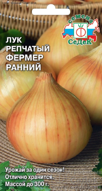 Лук репчатый 