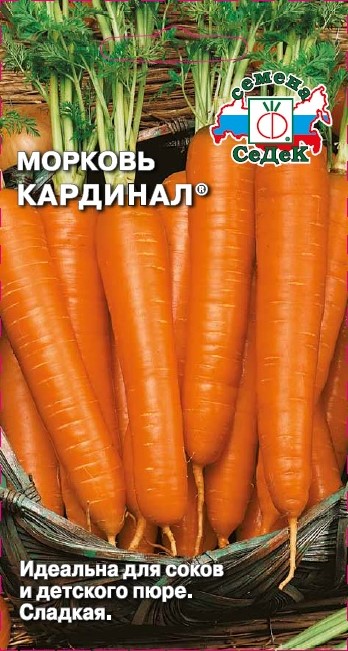 Морковь 