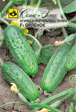 Семена Огурец Семко Орленок F1 1г семена томат семко иришка f1 0 1г