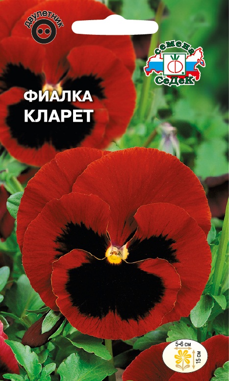 Семена Фиалка Седек Кларет 0,05г роза кларет пикси фено гено