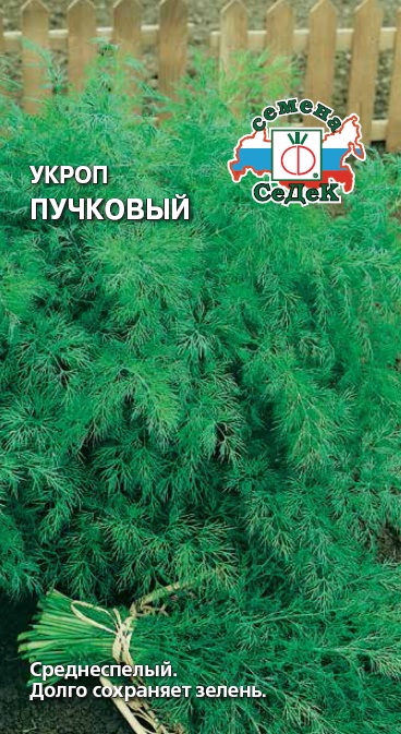 Семена Укроп Седек Пучковый 2г