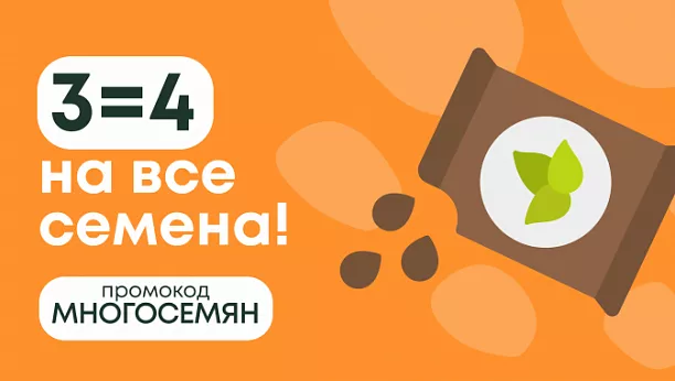 Купить семена с доставкой почтой по России | Цена в интернет магазине мама32.рф